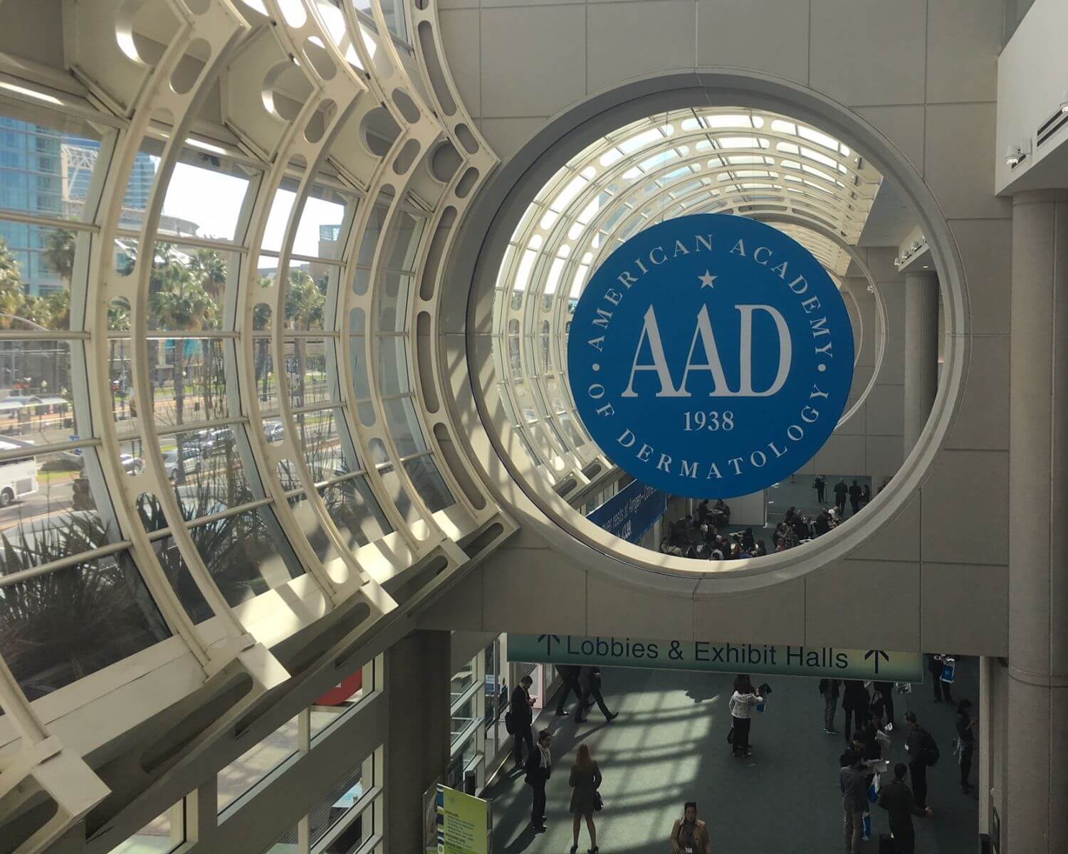 2018 AAD annual meeting