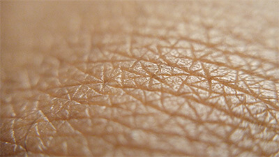 close-up of skin