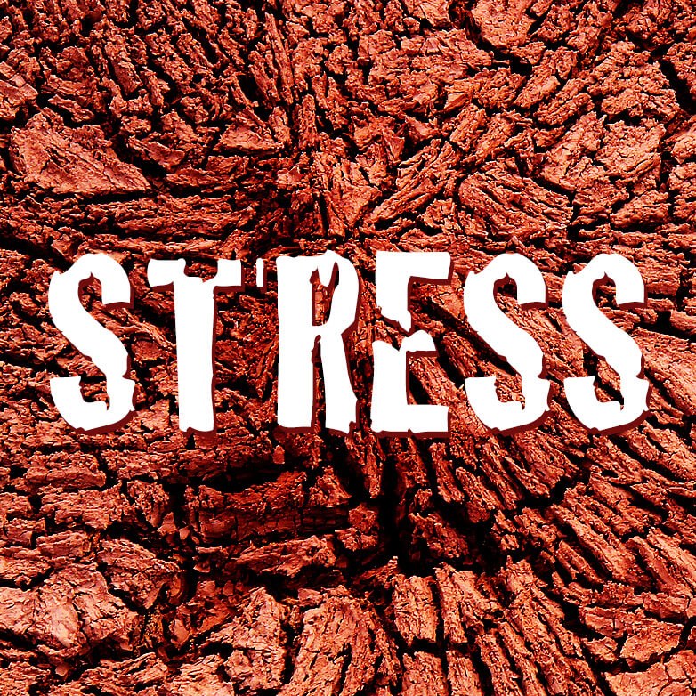 stress
