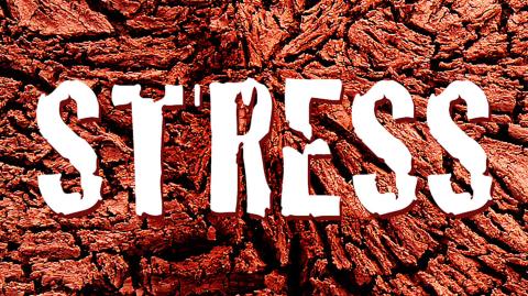 stress