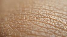 close-up of skin
